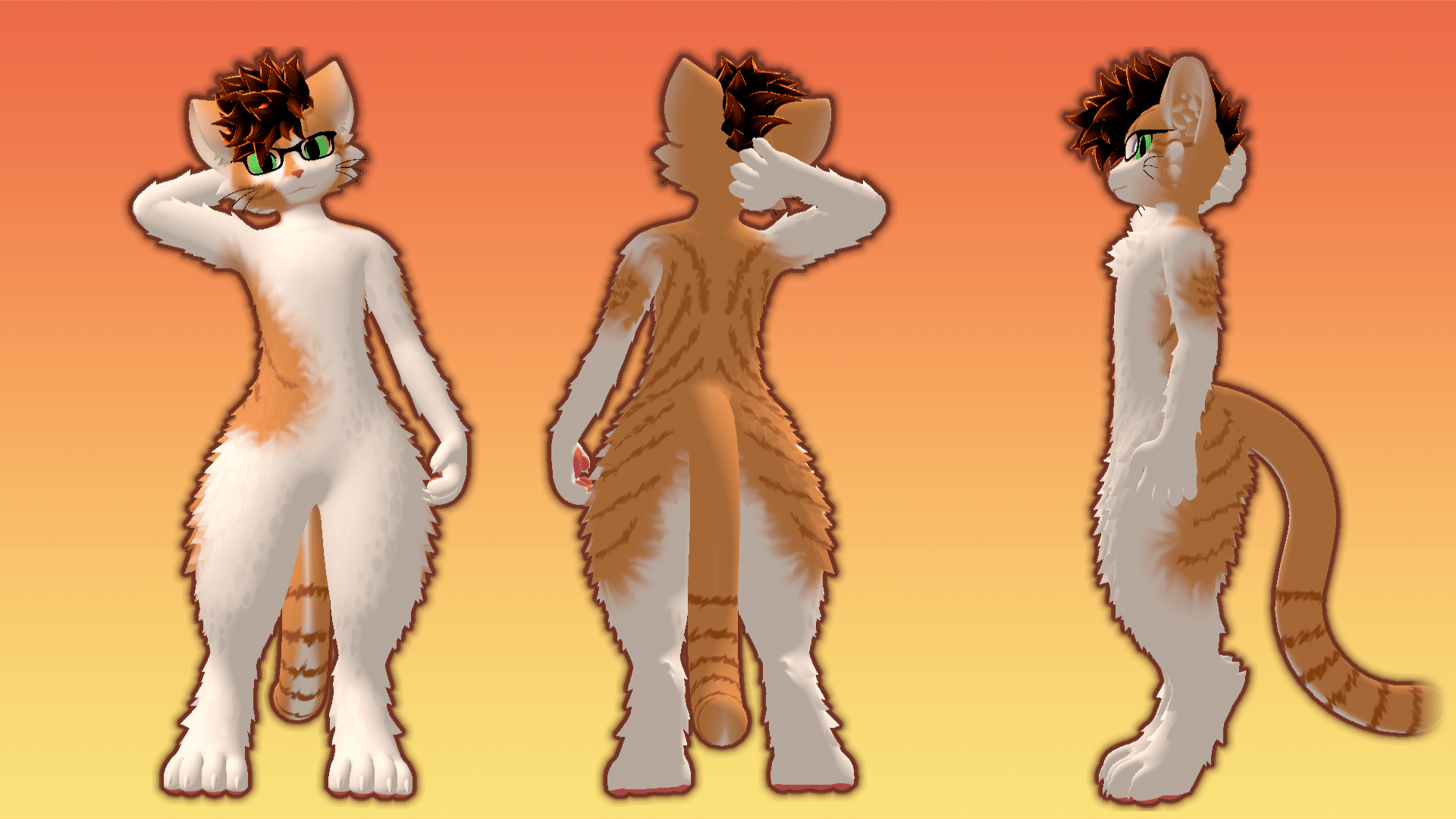 Tabby Orange Cat