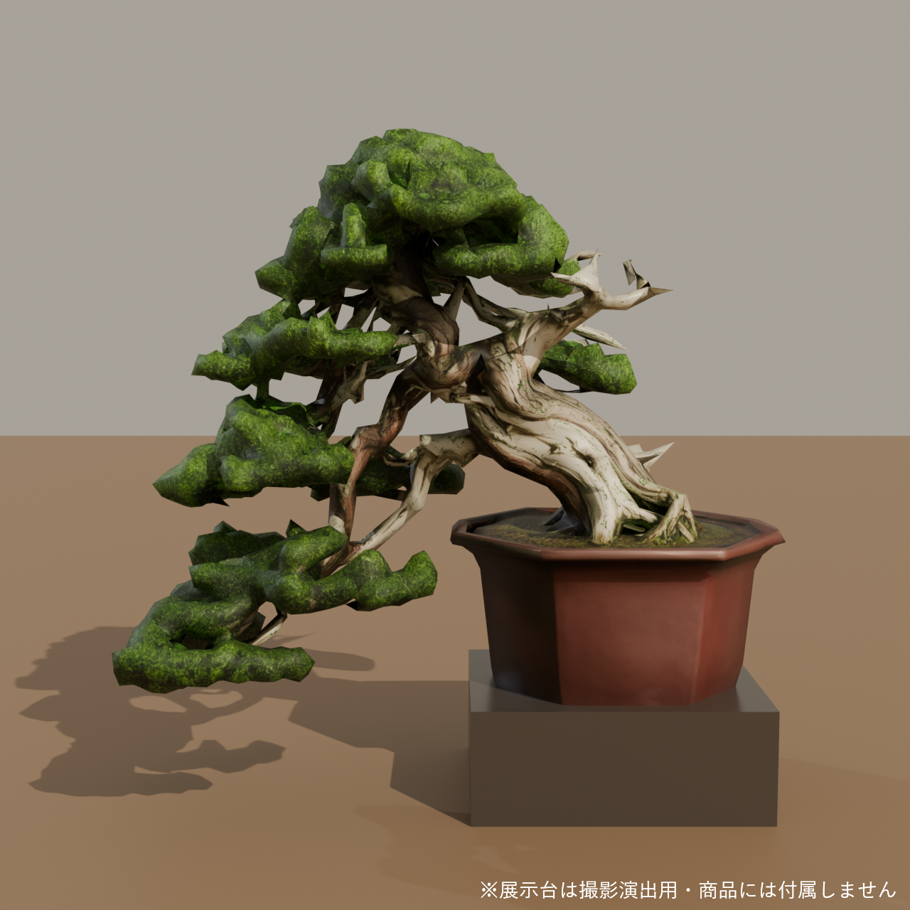 Japanese Bonsai - Shinpaku Juniper with Twisted Deadwood Trunk | VRChat World Prop