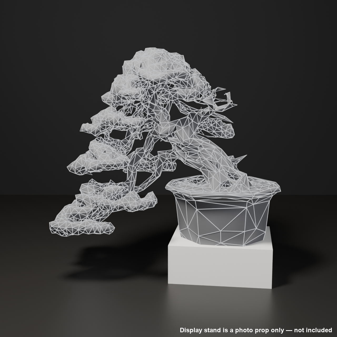 Japanese Bonsai - Shinpaku Juniper with Twisted Deadwood Trunk | VRChat World Prop