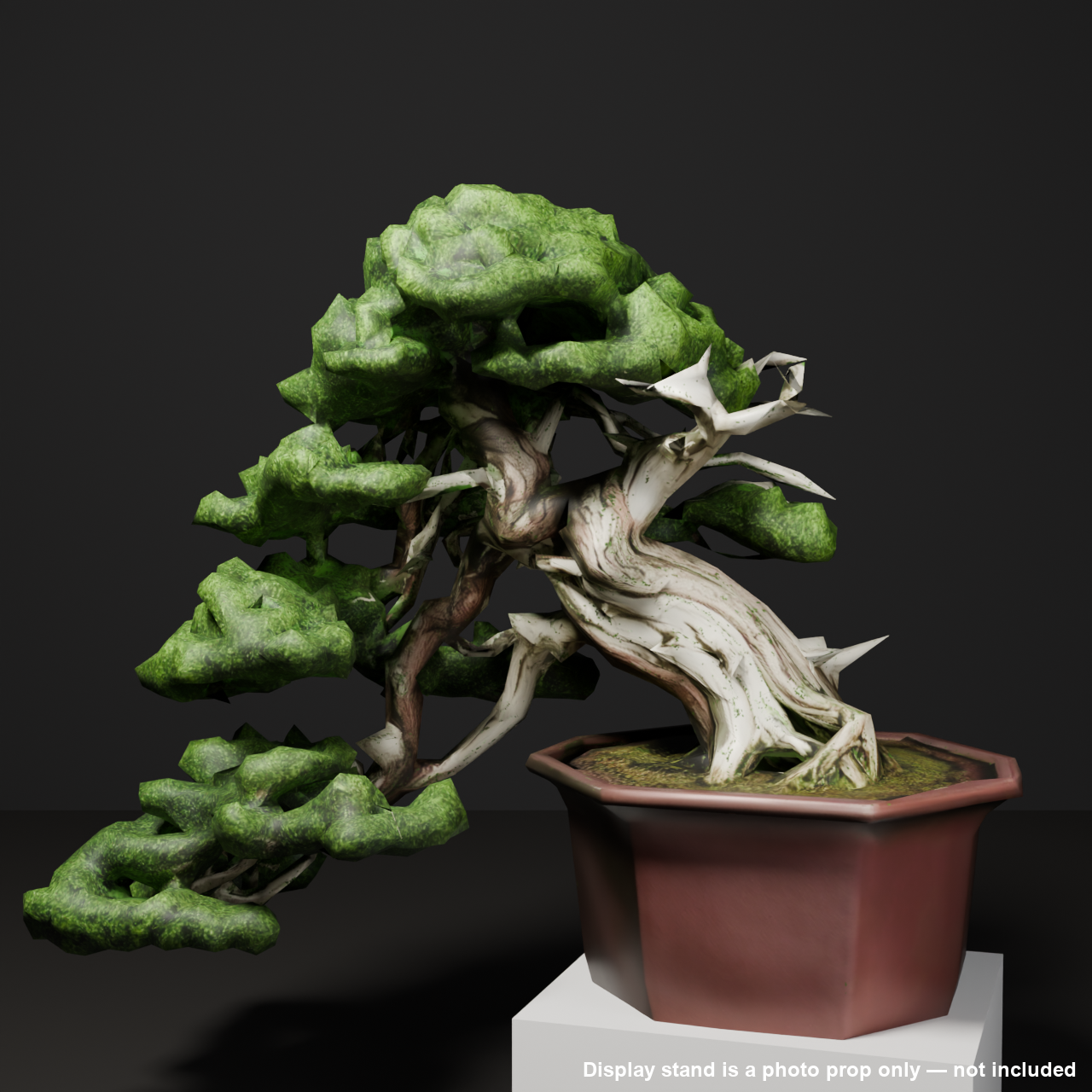 Japanese Bonsai - Shinpaku Juniper with Twisted Deadwood Trunk | VRChat World Prop