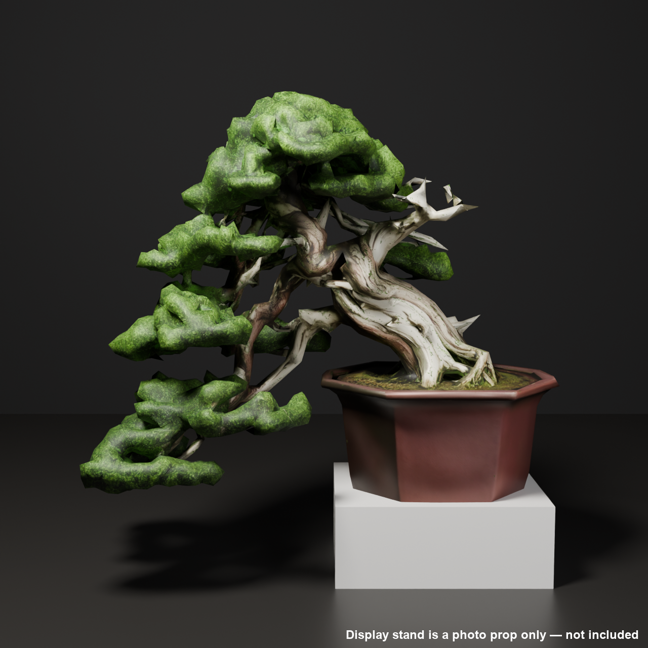 Japanese Bonsai - Shinpaku Juniper with Twisted Deadwood Trunk | VRChat World Prop