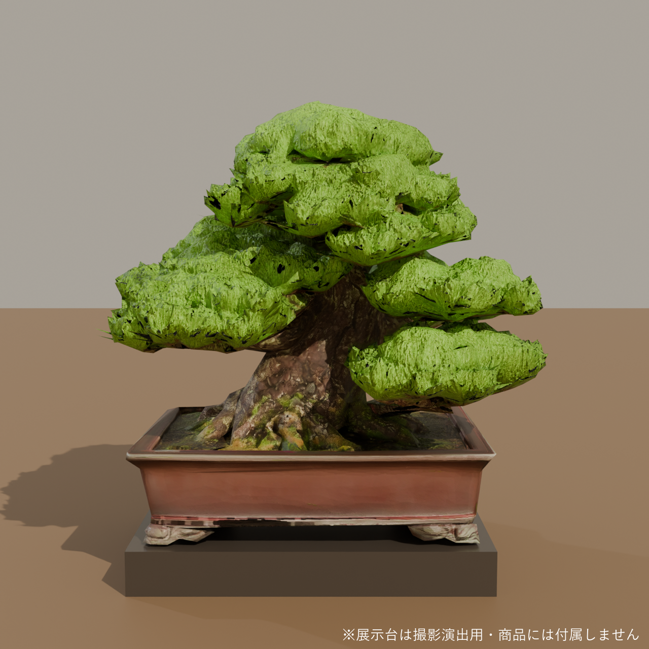 Japanese Bonsai - Black Pine in Formal Upright Style | VRChat World Prop (Free)