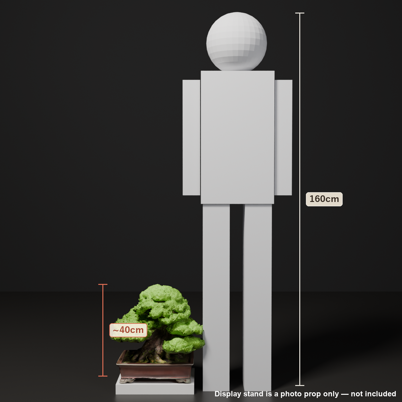 Japanese Bonsai - Black Pine in Formal Upright Style | VRChat World Prop (Free)