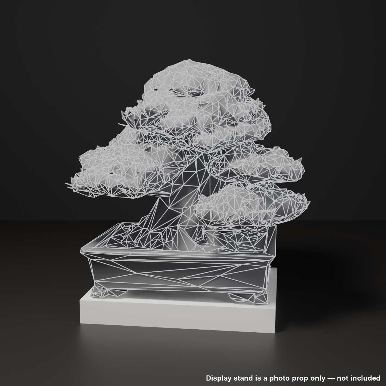 Japanese Bonsai - Black Pine in Formal Upright Style | VRChat World Prop (Free)