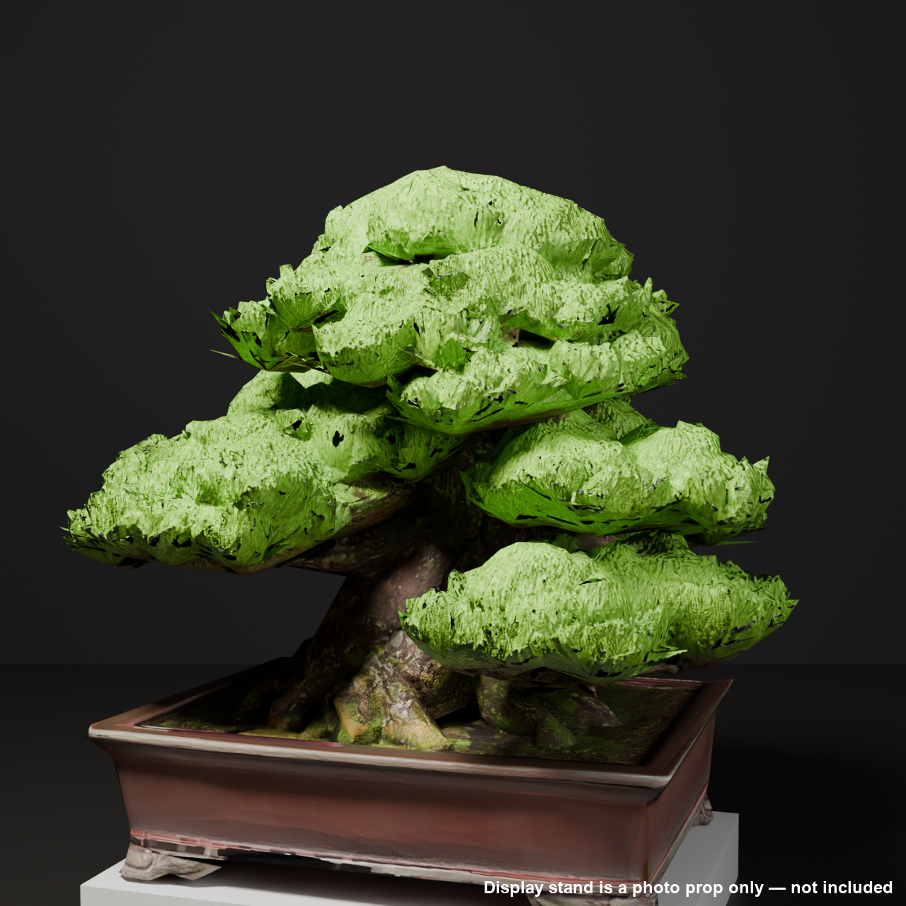 Japanese Bonsai - Black Pine in Formal Upright Style | VRChat World Prop (Free)