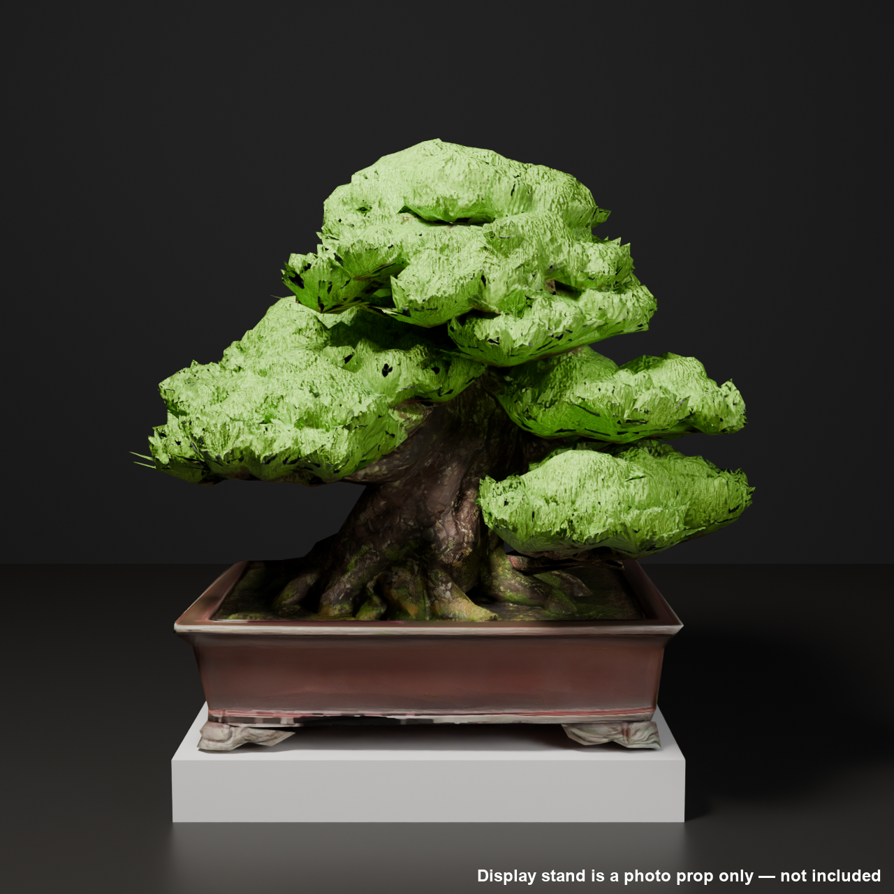 Japanese Bonsai - Black Pine in Formal Upright Style | VRChat World Prop (Free)