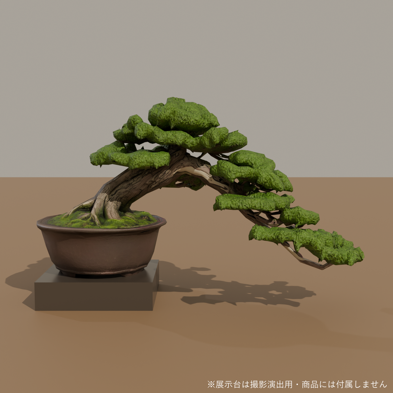 Japanese Bonsai - Shinpaku Juniper in Semi-Cascade Style | VRChat World Prop