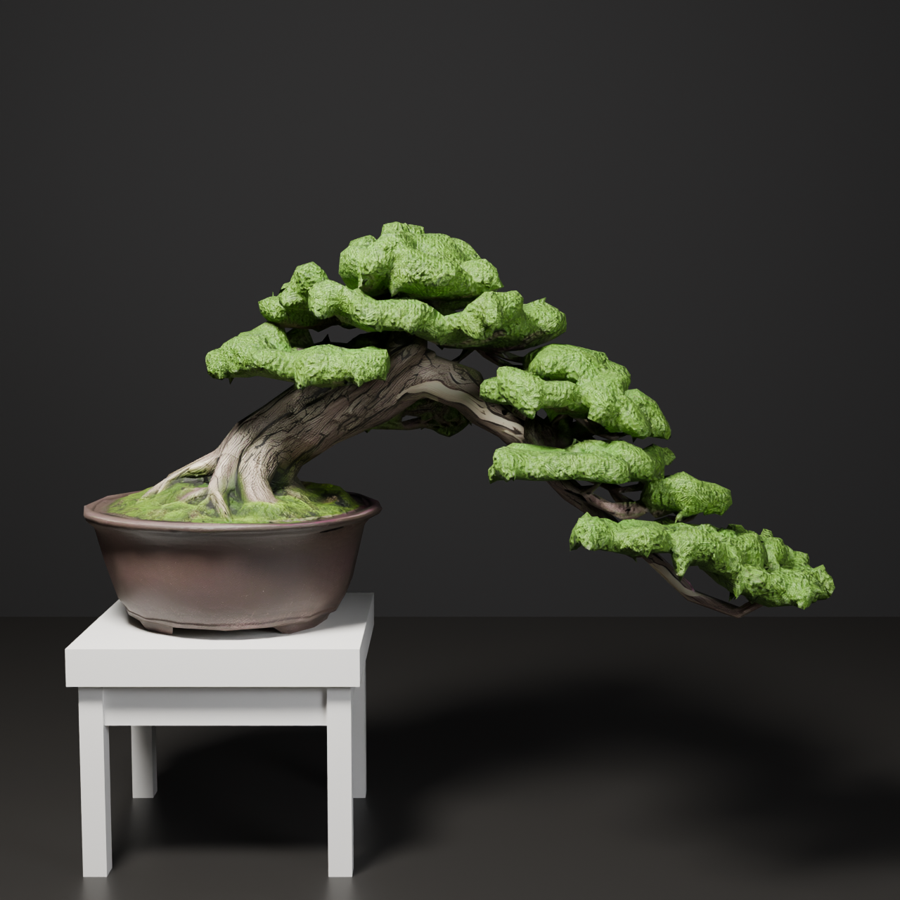 Japanese Bonsai - Shinpaku Juniper in Semi-Cascade Style | VRChat World Prop
