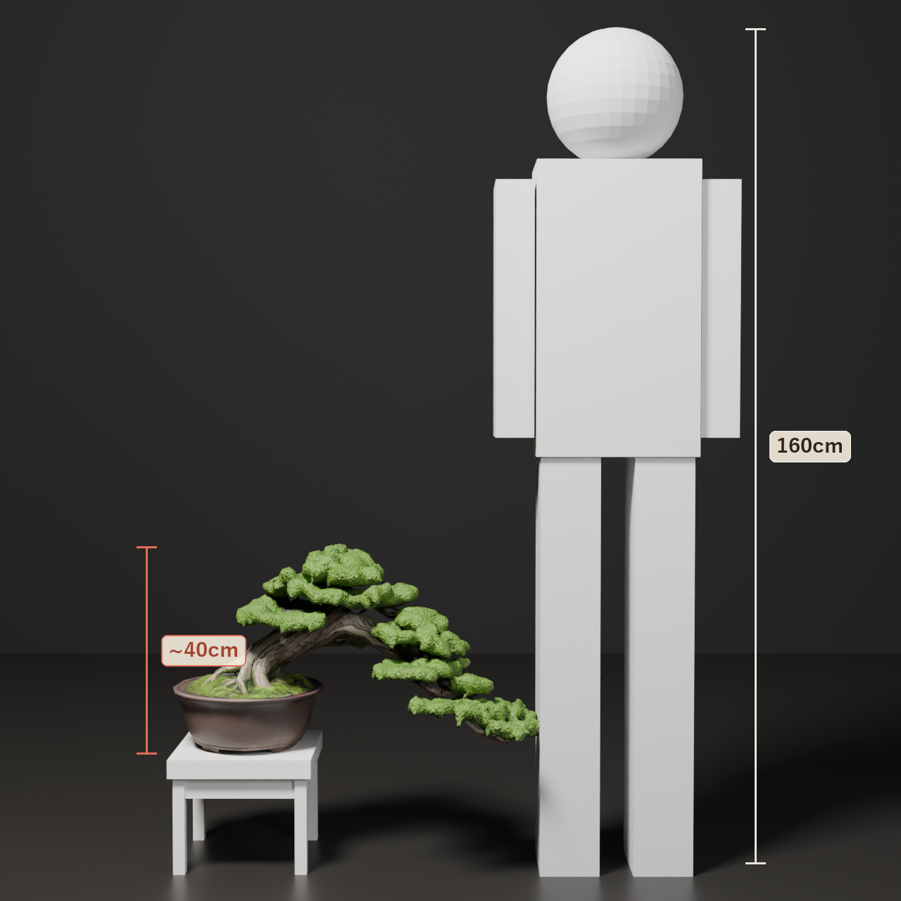 Japanese Bonsai - Shinpaku Juniper in Semi-Cascade Style | VRChat World Prop