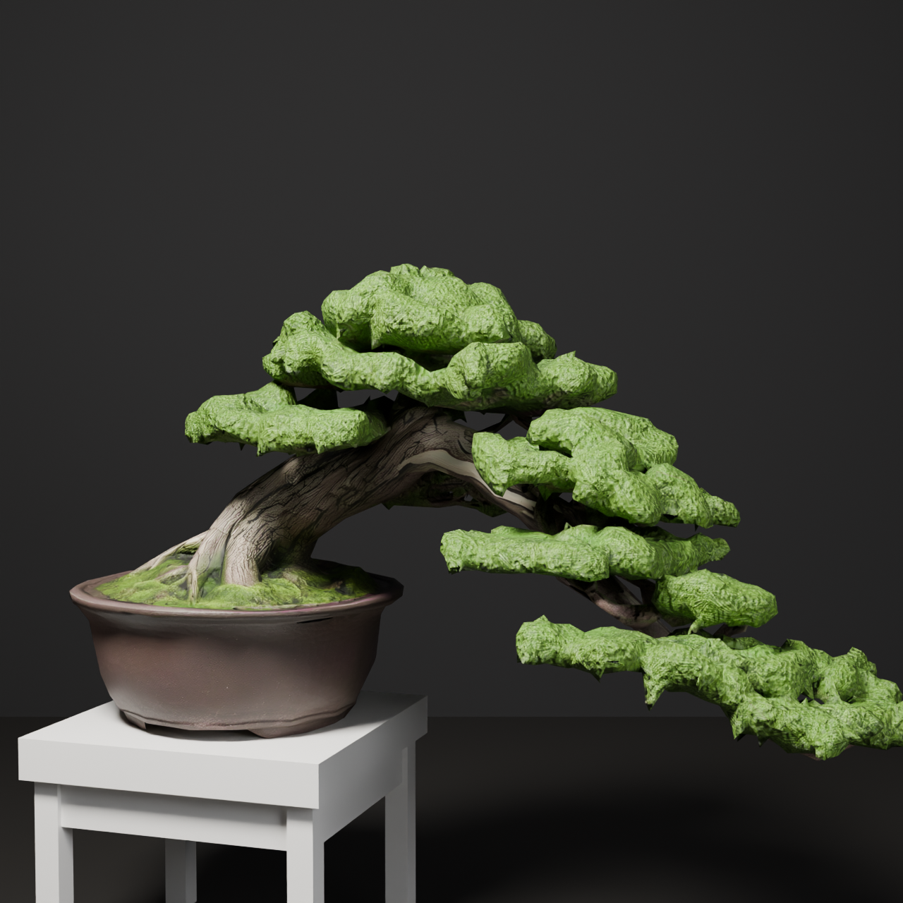 Japanese Bonsai - Shinpaku Juniper in Semi-Cascade Style | VRChat World Prop