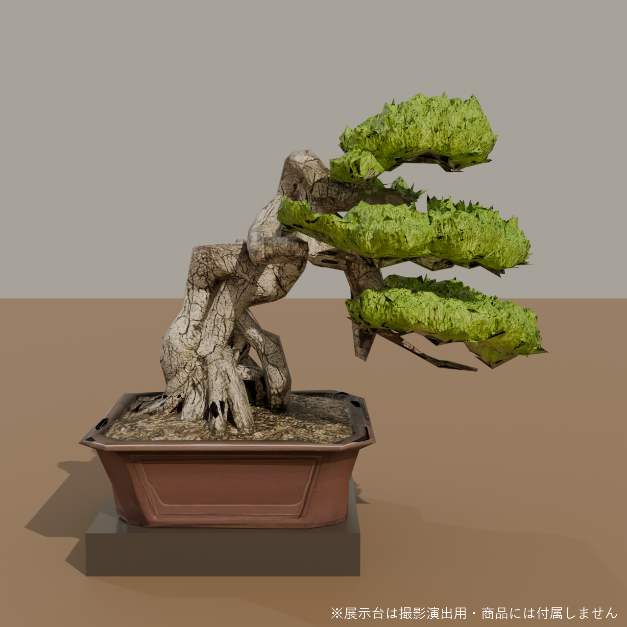 Japanese Bonsai - White Pine in Literati (Bunjin) Style | VRChat World Prop