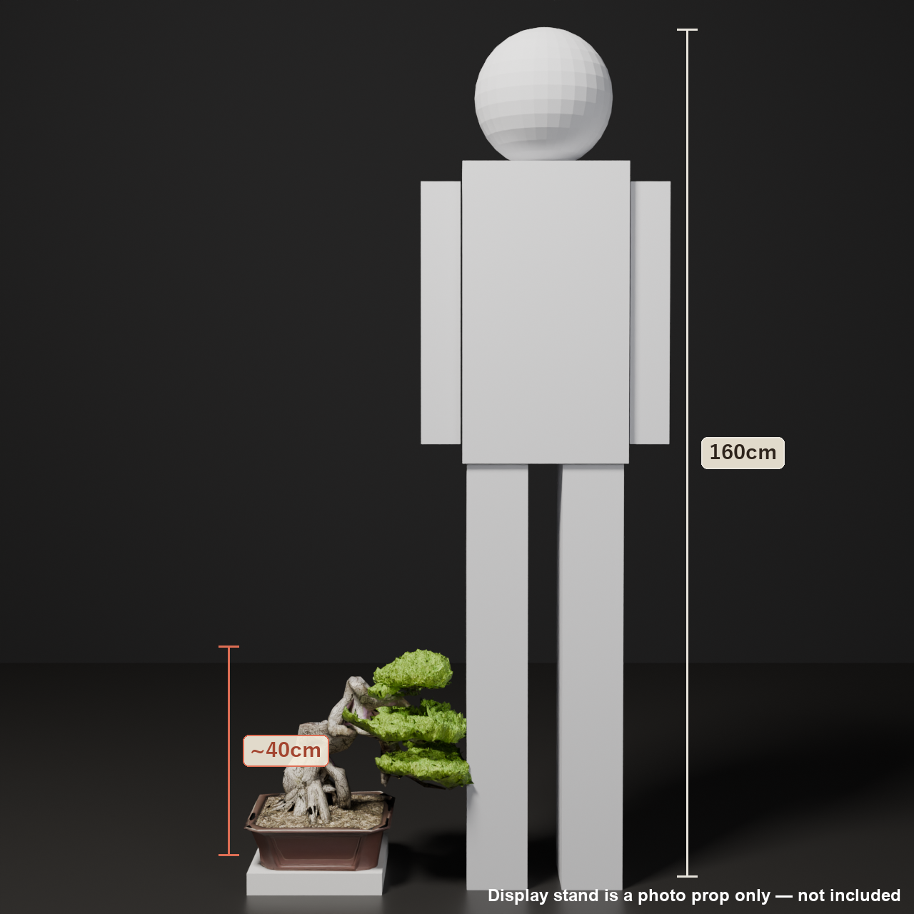 Japanese Bonsai - White Pine in Literati (Bunjin) Style | VRChat World Prop