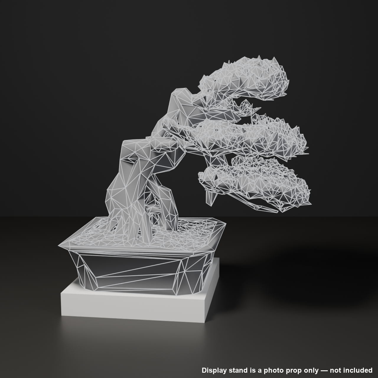 Japanese Bonsai - White Pine in Literati (Bunjin) Style | VRChat World Prop