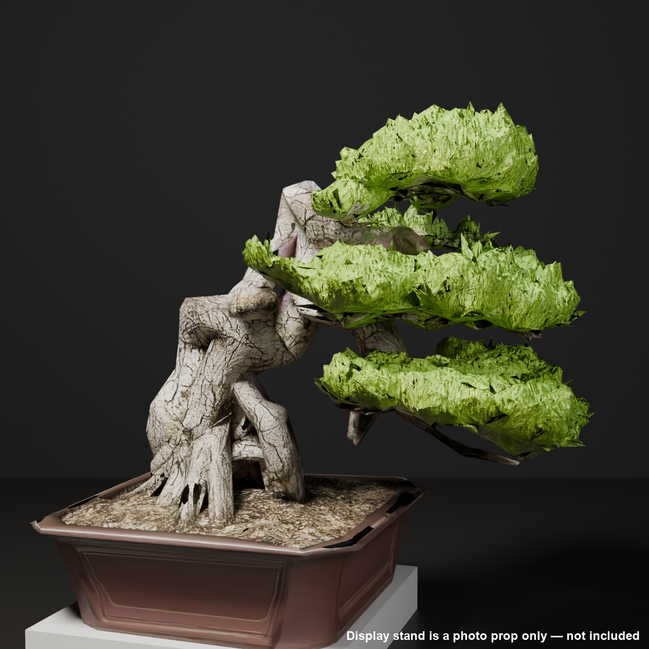 Japanese Bonsai - White Pine in Literati (Bunjin) Style | VRChat World Prop