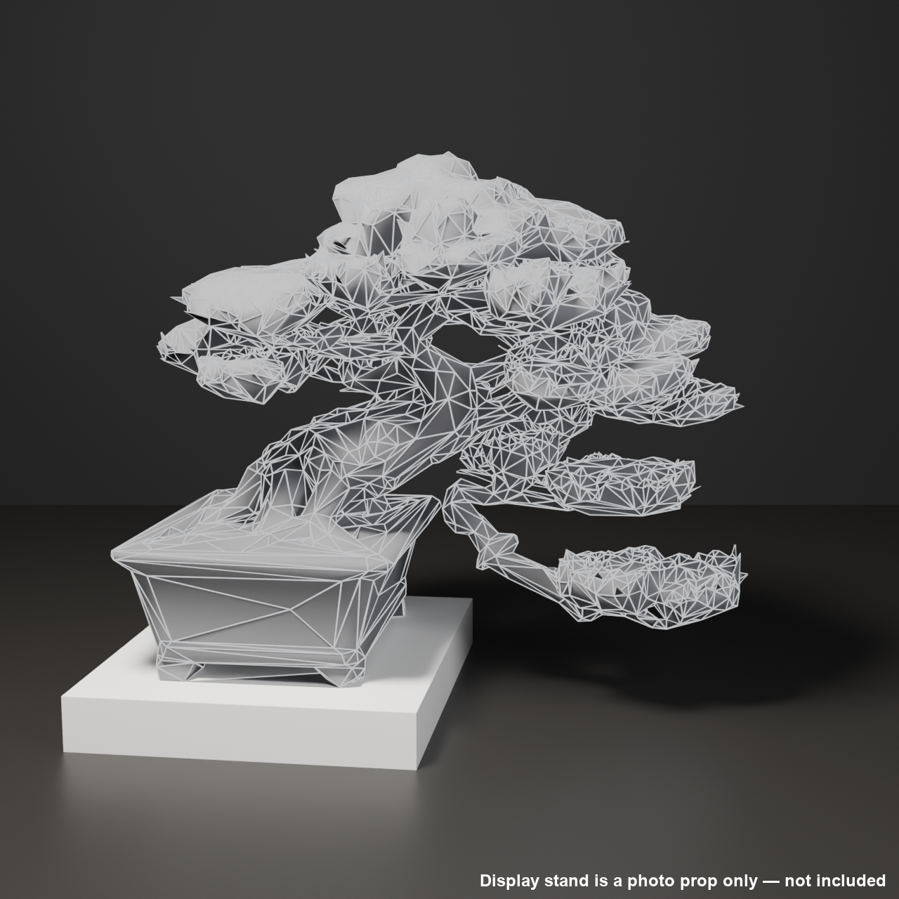 Japanese Bonsai - Red Pine with Cascading Branch | VRChat World Prop
