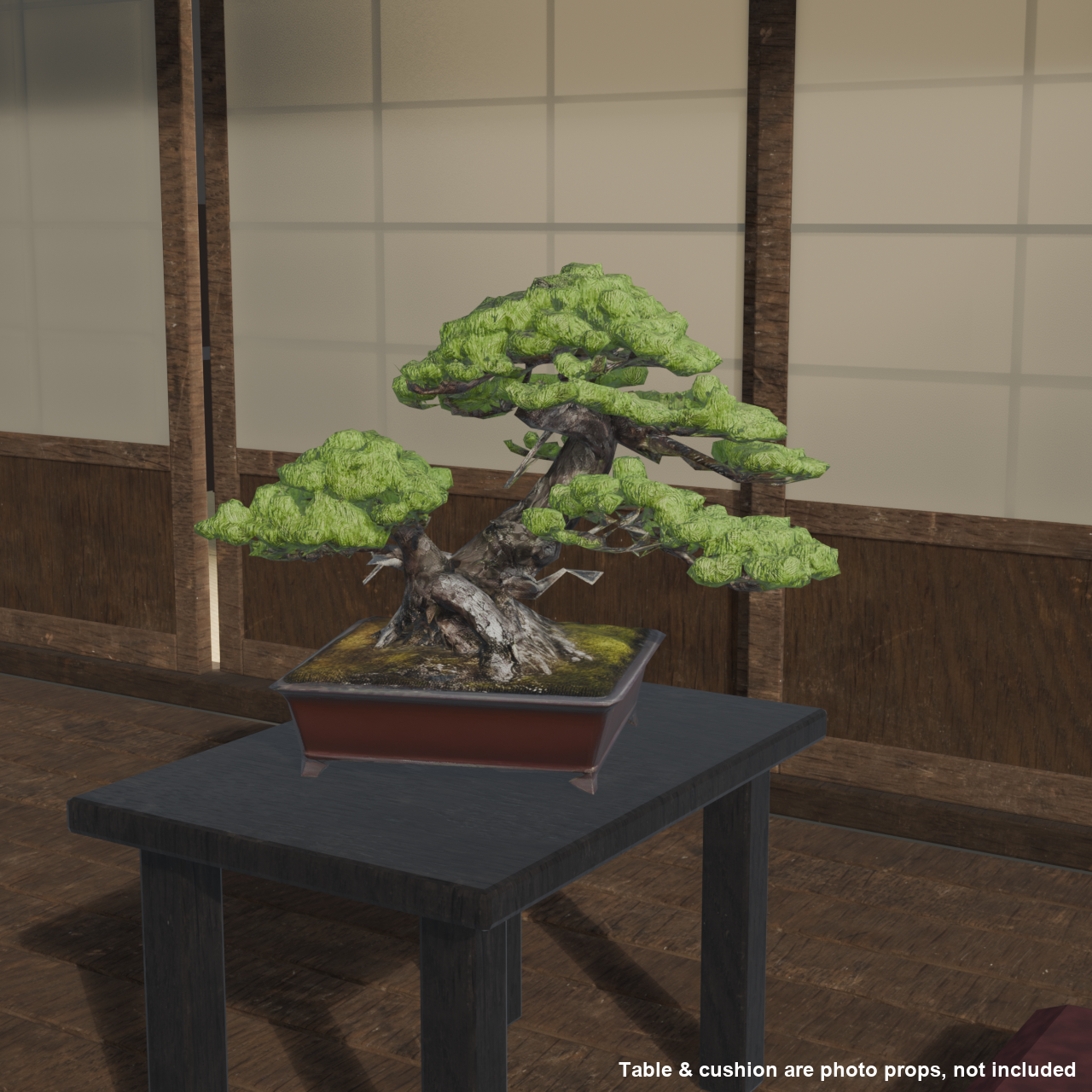 Japanese Bonsai - Black Pine in Twin Trunk (Sokan) Style | VRChat World Prop