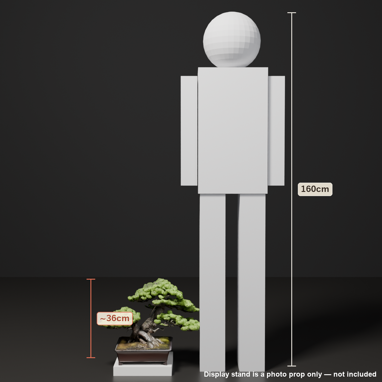 Japanese Bonsai - Black Pine in Twin Trunk (Sokan) Style | VRChat World Prop