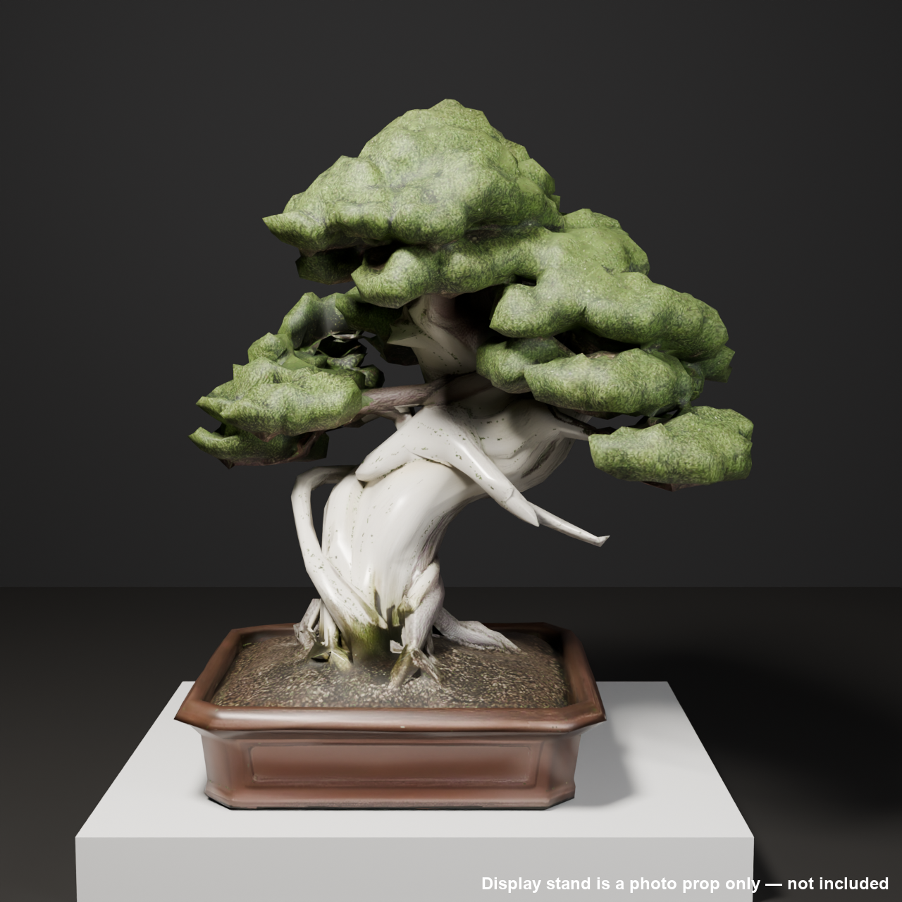 Japanese Bonsai - Shinpaku Juniper with Wind-Worn Deadwood (Shari) | VRChat World Prop