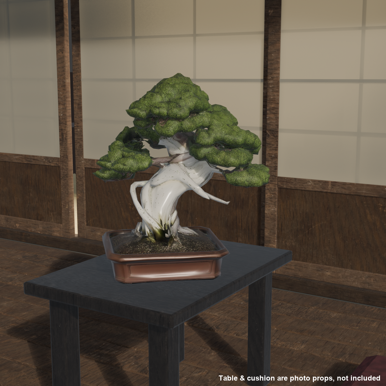 Japanese Bonsai - Shinpaku Juniper with Wind-Worn Deadwood (Shari) | VRChat World Prop