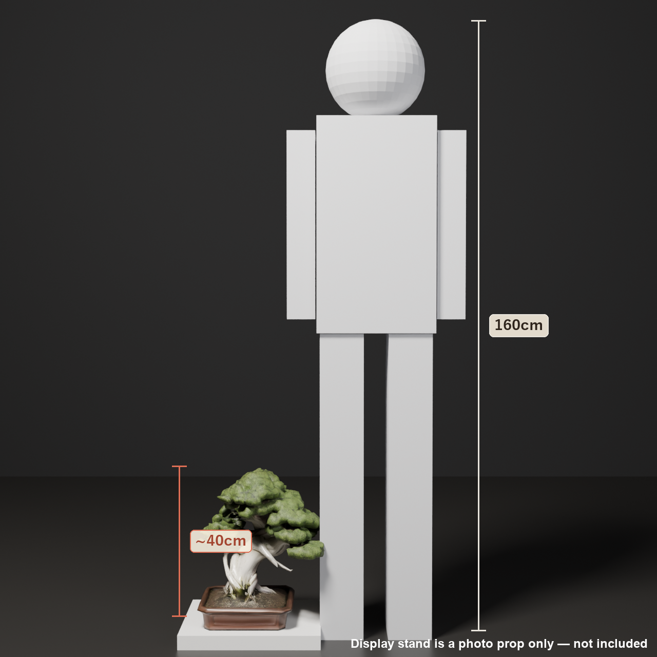 Japanese Bonsai - Shinpaku Juniper with Wind-Worn Deadwood (Shari) | VRChat World Prop