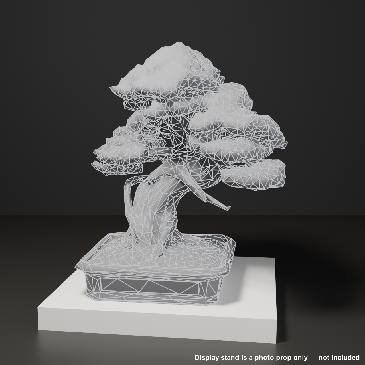 Japanese Bonsai - Shinpaku Juniper with Wind-Worn Deadwood (Shari) | VRChat World Prop