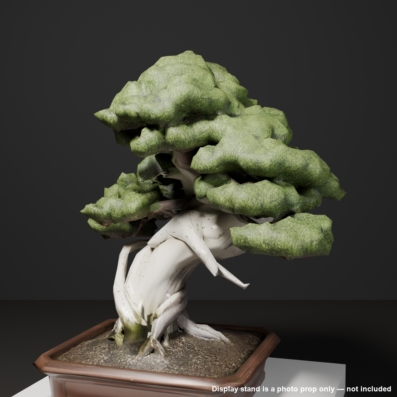 Japanese Bonsai - Shinpaku Juniper with Wind-Worn Deadwood (Shari) | VRChat World Prop