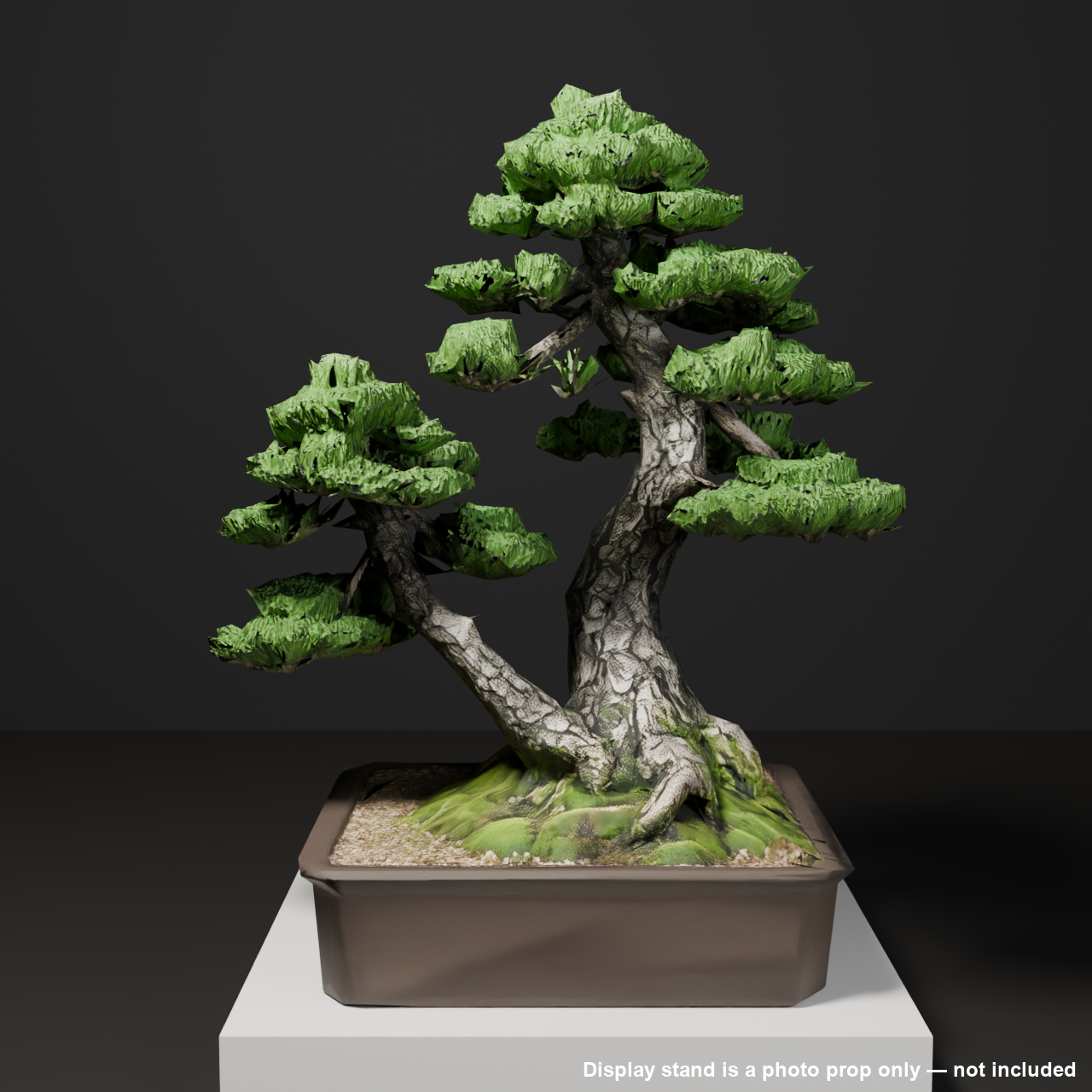 Japanese Bonsai - White Pine in Twin Trunk (Aioi) Style | VRChat World Prop