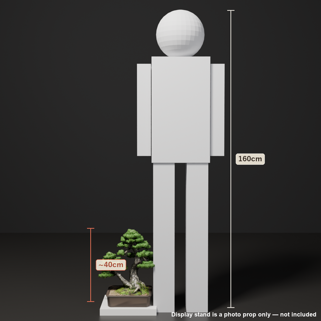 Japanese Bonsai - White Pine in Twin Trunk (Aioi) Style | VRChat World Prop