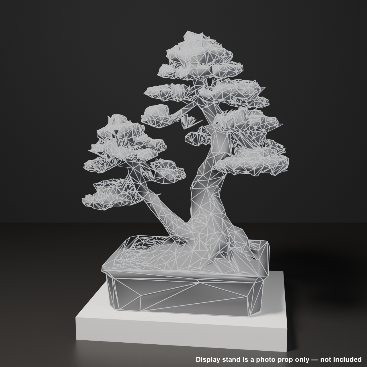 Japanese Bonsai - White Pine in Twin Trunk (Aioi) Style | VRChat World Prop