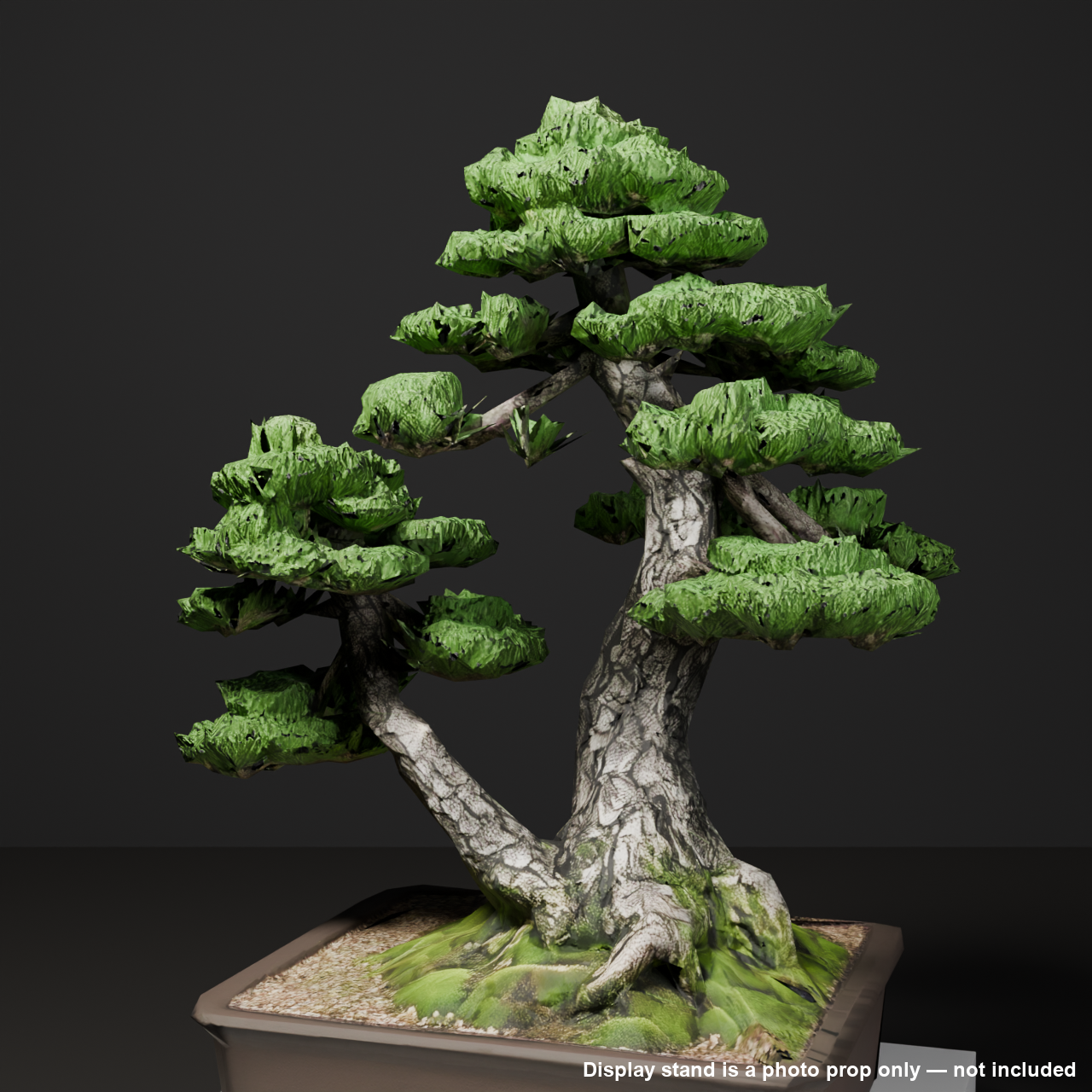 Japanese Bonsai - White Pine in Twin Trunk (Aioi) Style | VRChat World Prop