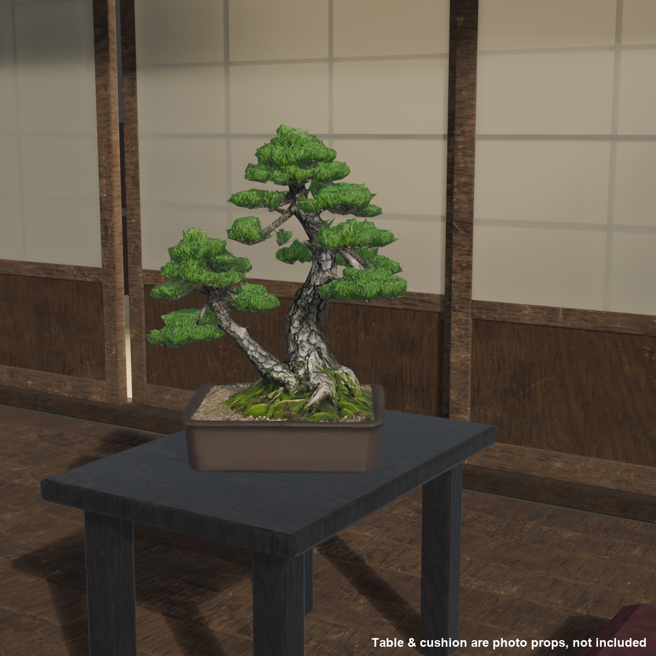 Japanese Bonsai - White Pine in Twin Trunk (Aioi) Style | VRChat World Prop