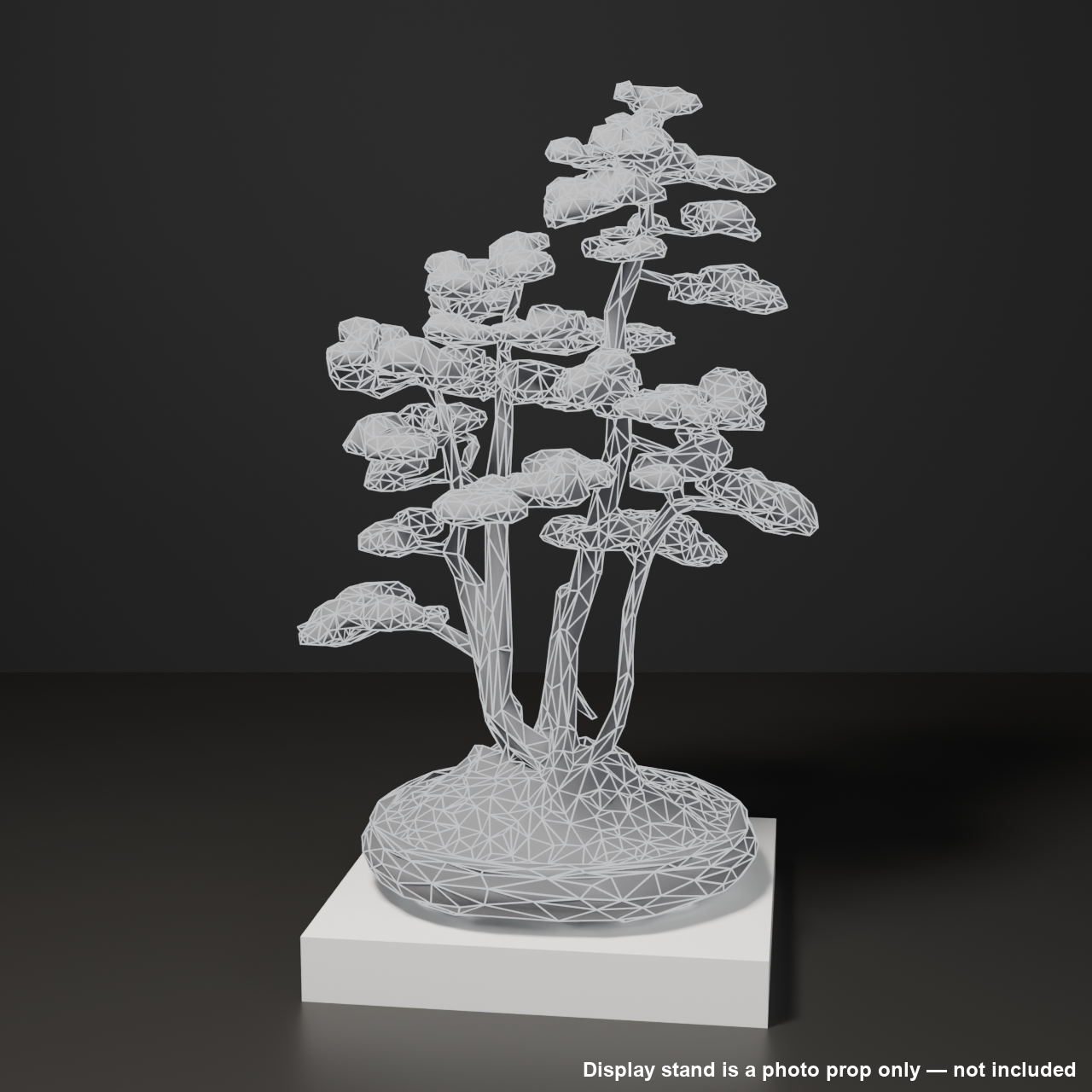 Japanese Bonsai - White Pine in Clump (Kabudachi) Style | VRChat World Prop