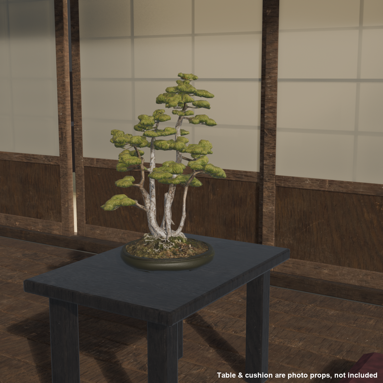 Japanese Bonsai - White Pine in Clump (Kabudachi) Style | VRChat World Prop