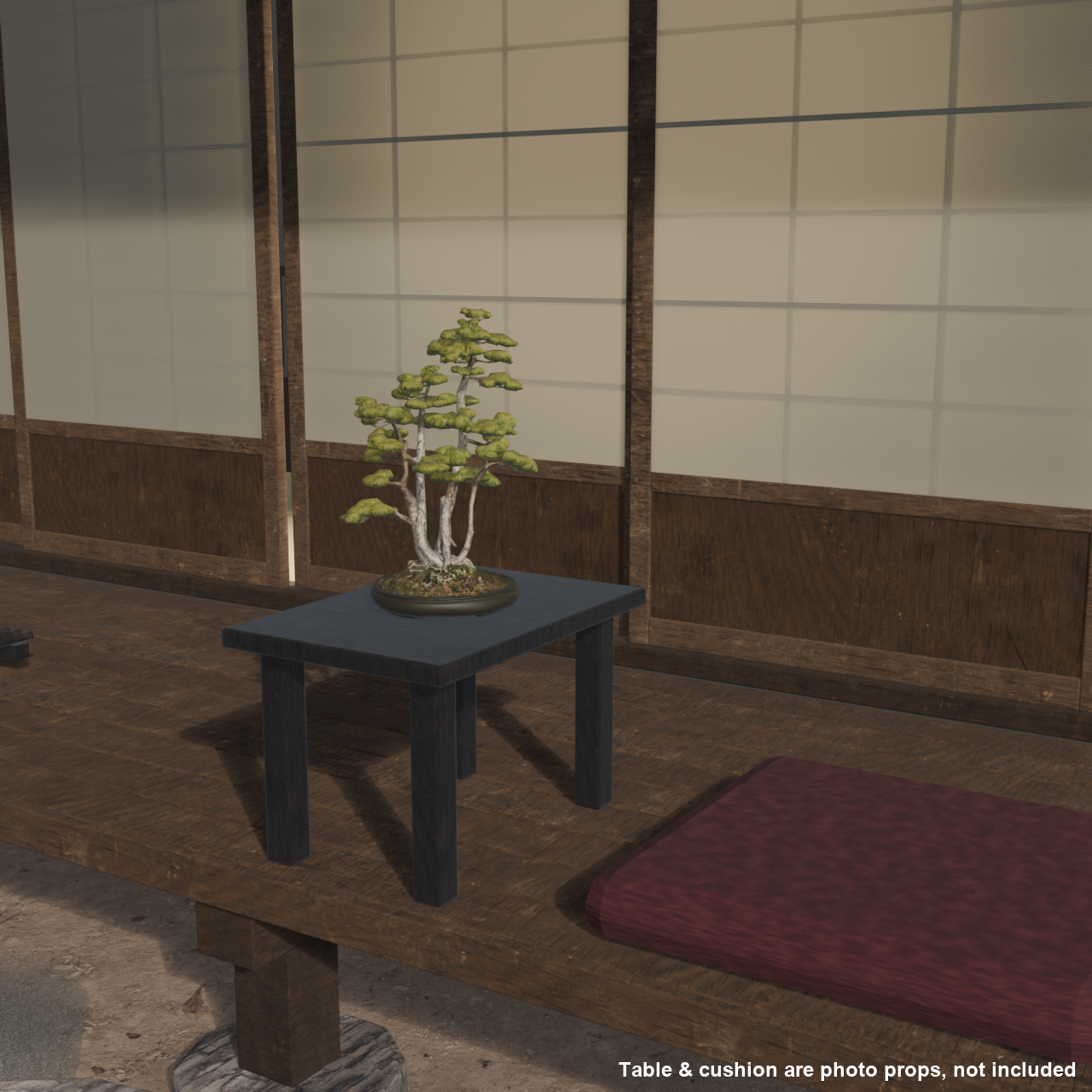 Japanese Bonsai - White Pine in Clump (Kabudachi) Style | VRChat World Prop