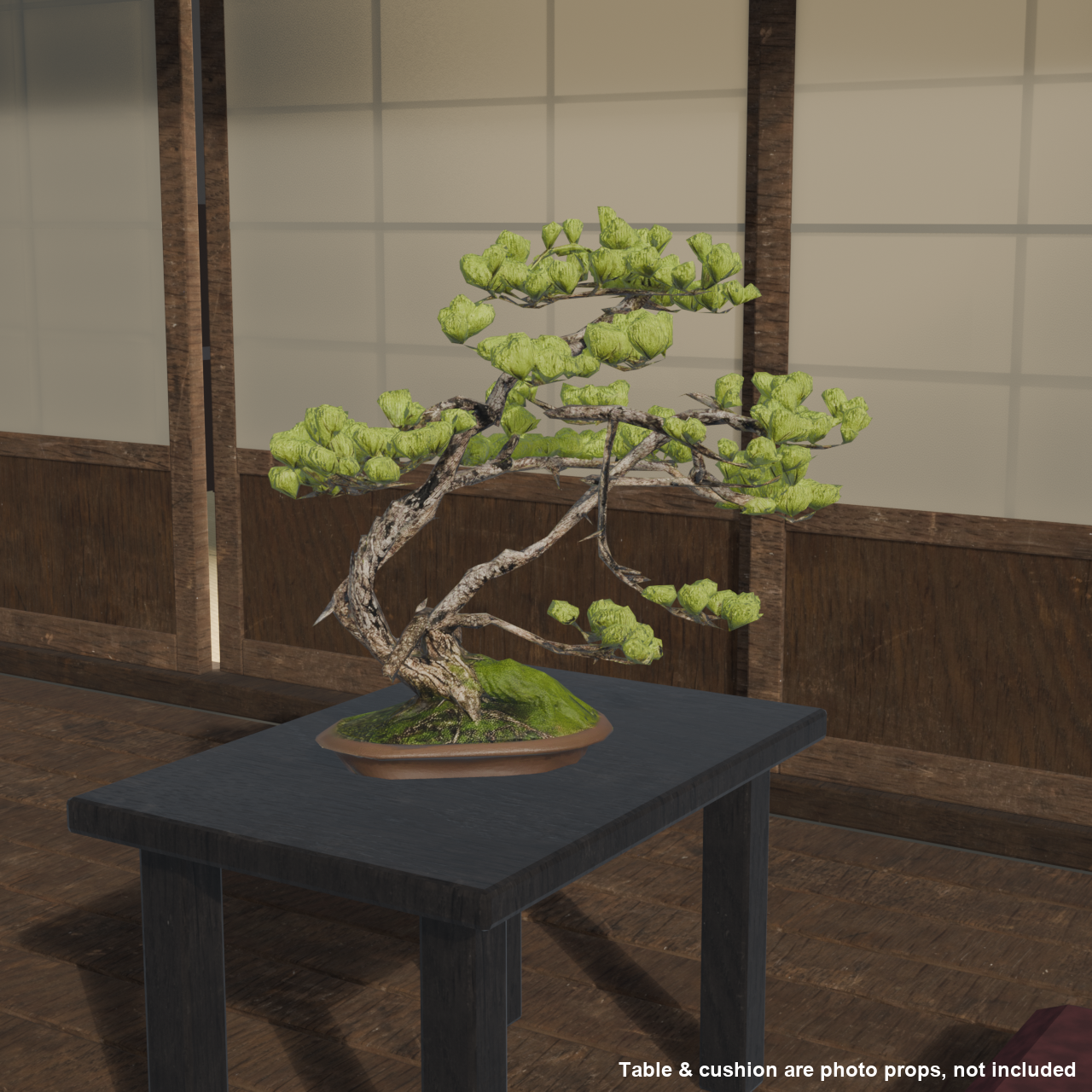 Japanese Bonsai - White Pine with Spring Flush and Lifted Roots | VRChat World Prop