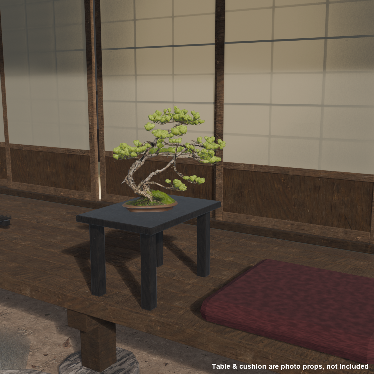 Japanese Bonsai - White Pine with Spring Flush and Lifted Roots | VRChat World Prop