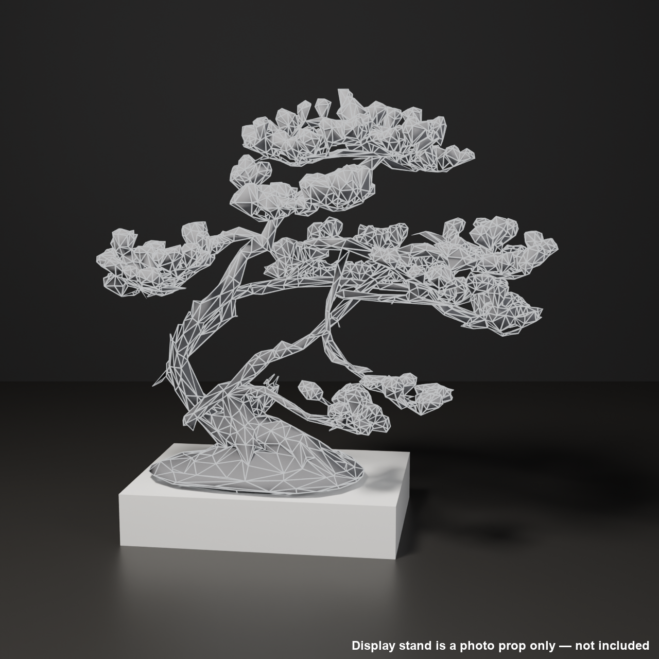 Japanese Bonsai - White Pine with Spring Flush and Lifted Roots | VRChat World Prop