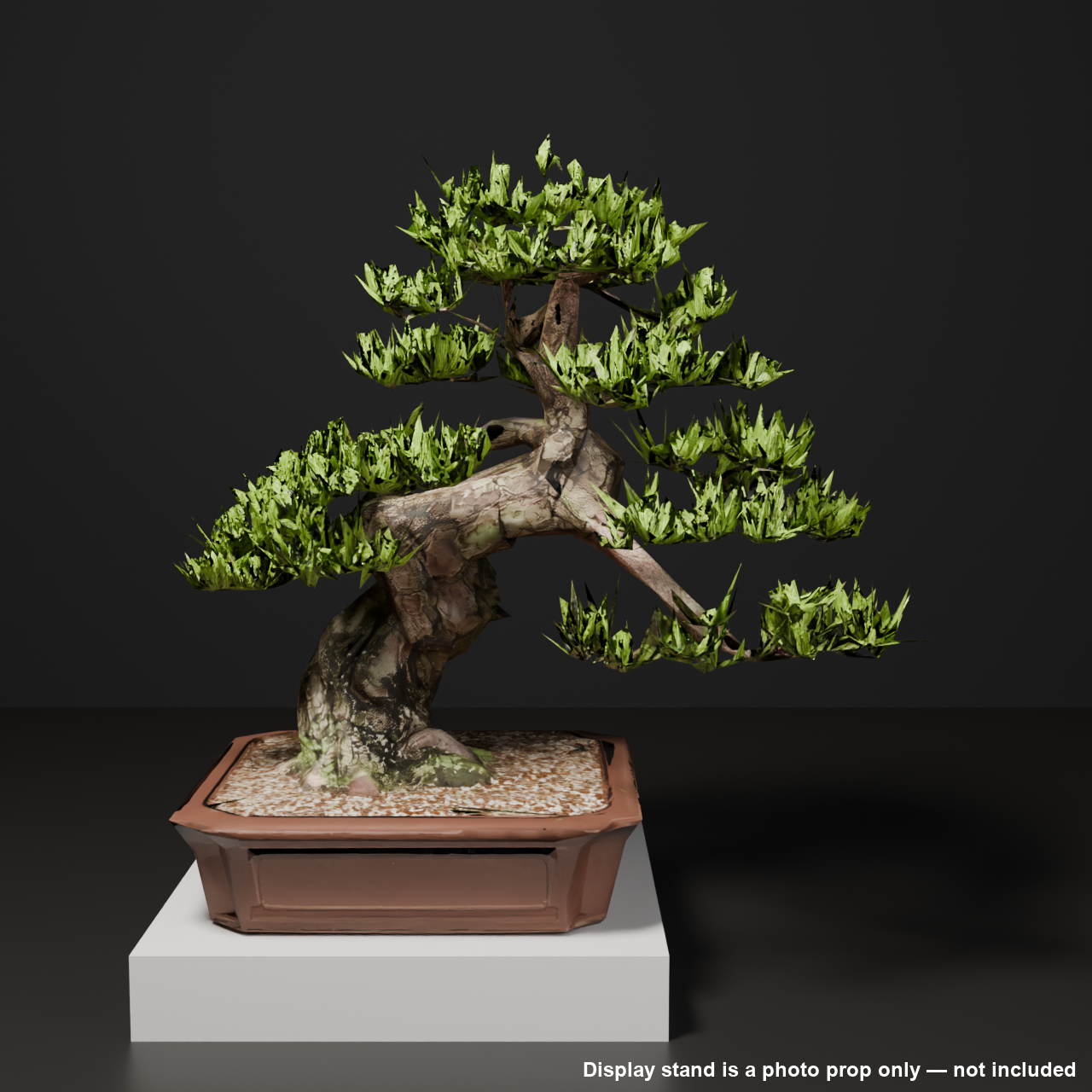 Japanese Bonsai - Black Pine with Crouching-Dragon (Garyu) Trunk | VRChat World Prop