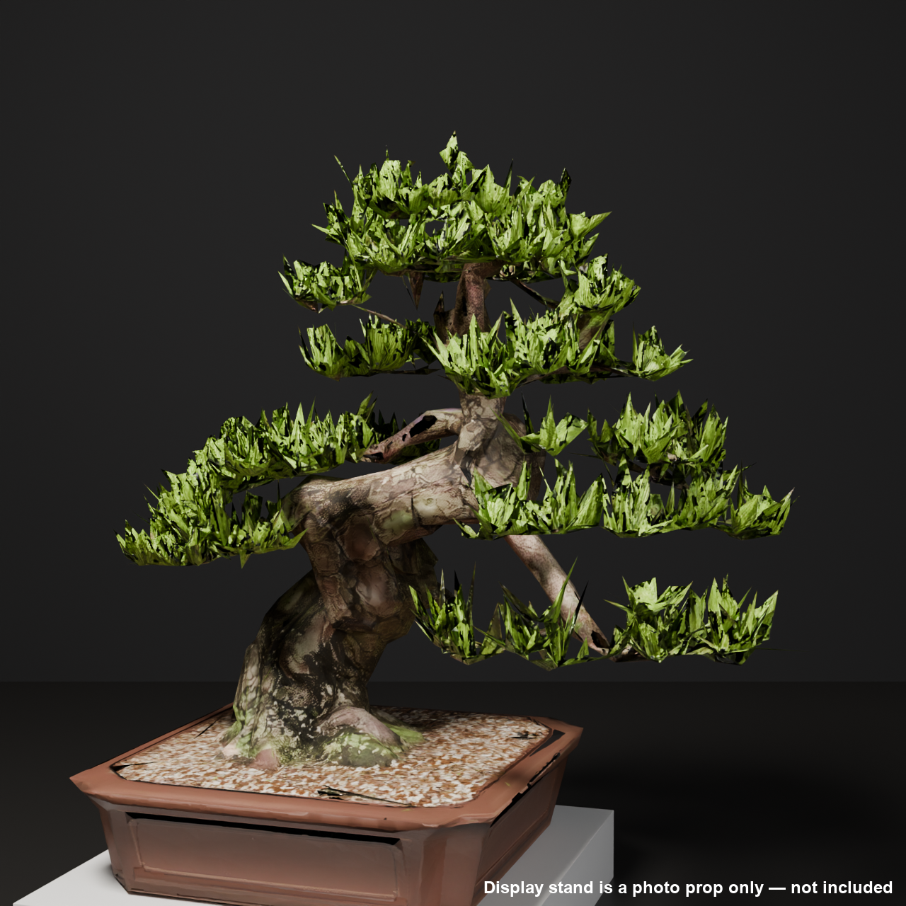 Japanese Bonsai - Black Pine with Crouching-Dragon (Garyu) Trunk | VRChat World Prop