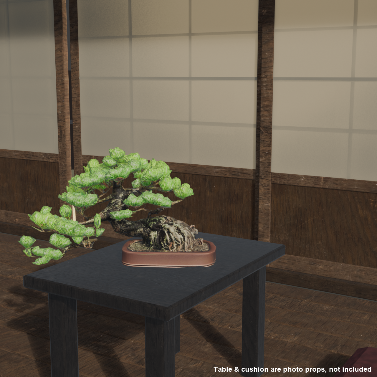 Japanese Bonsai - White Pine with a Sweeping Trunk and Bold Root Flare | VRChat World Prop