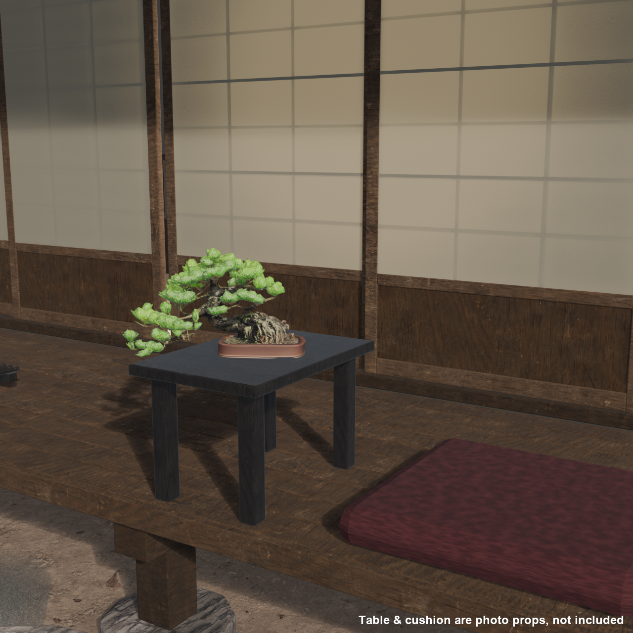 Japanese Bonsai - White Pine with a Sweeping Trunk and Bold Root Flare | VRChat World Prop