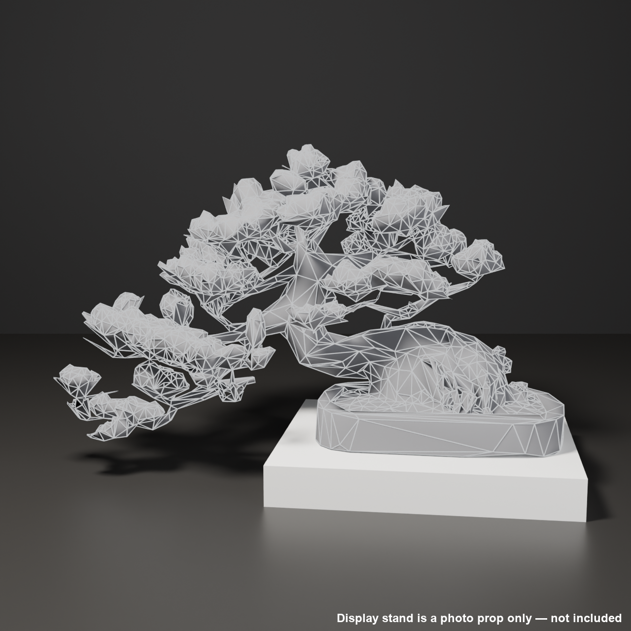 Japanese Bonsai - White Pine with a Sweeping Trunk and Bold Root Flare | VRChat World Prop