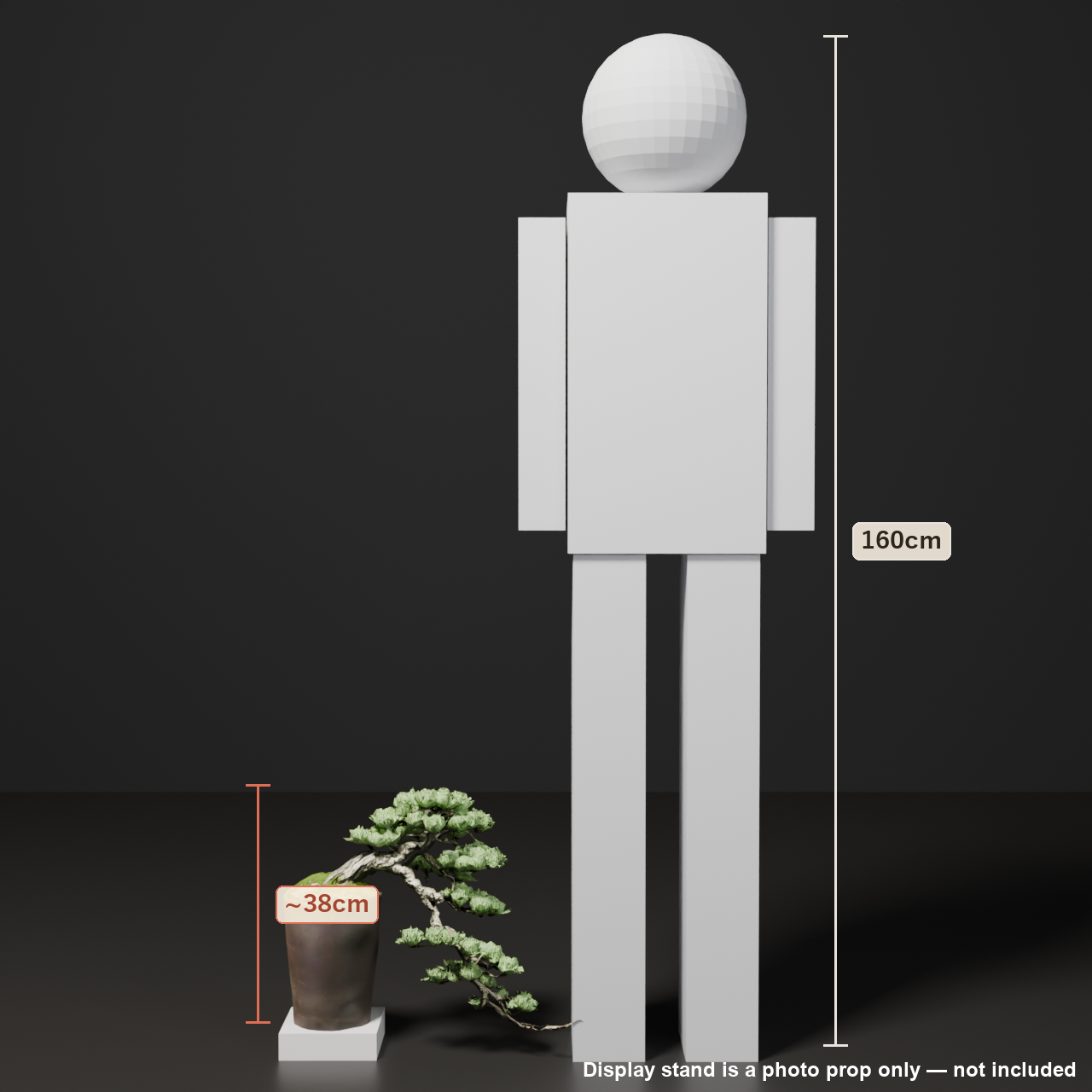 Japanese Bonsai - White Pine with a Long, Wind-Swept Trunk | VRChat World Prop