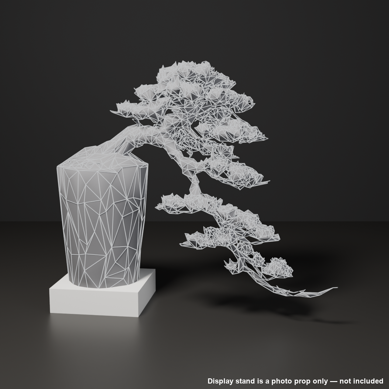 Japanese Bonsai - White Pine with a Long, Wind-Swept Trunk | VRChat World Prop
