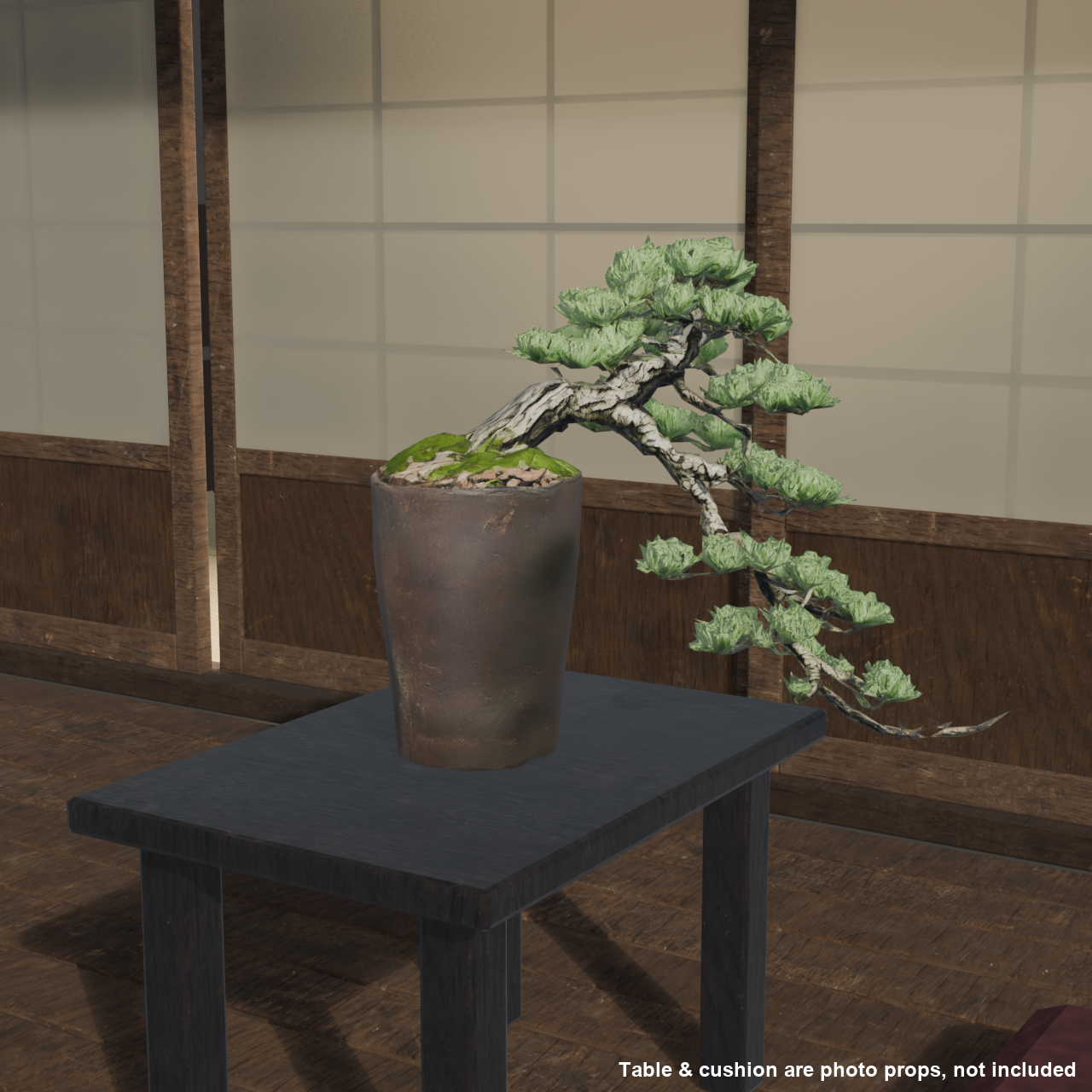 Japanese Bonsai - White Pine with a Long, Wind-Swept Trunk | VRChat World Prop