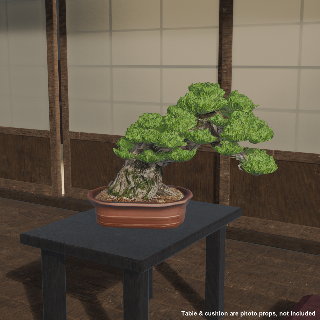 Japanese Bonsai - Black Pine with Bold Exposed Roots (Nebari) | VRChat World Prop