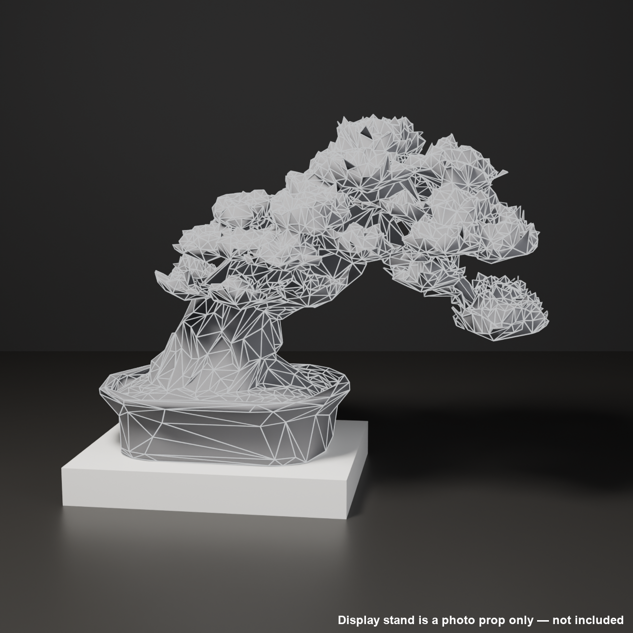 Japanese Bonsai - Black Pine with Bold Exposed Roots (Nebari) | VRChat World Prop
