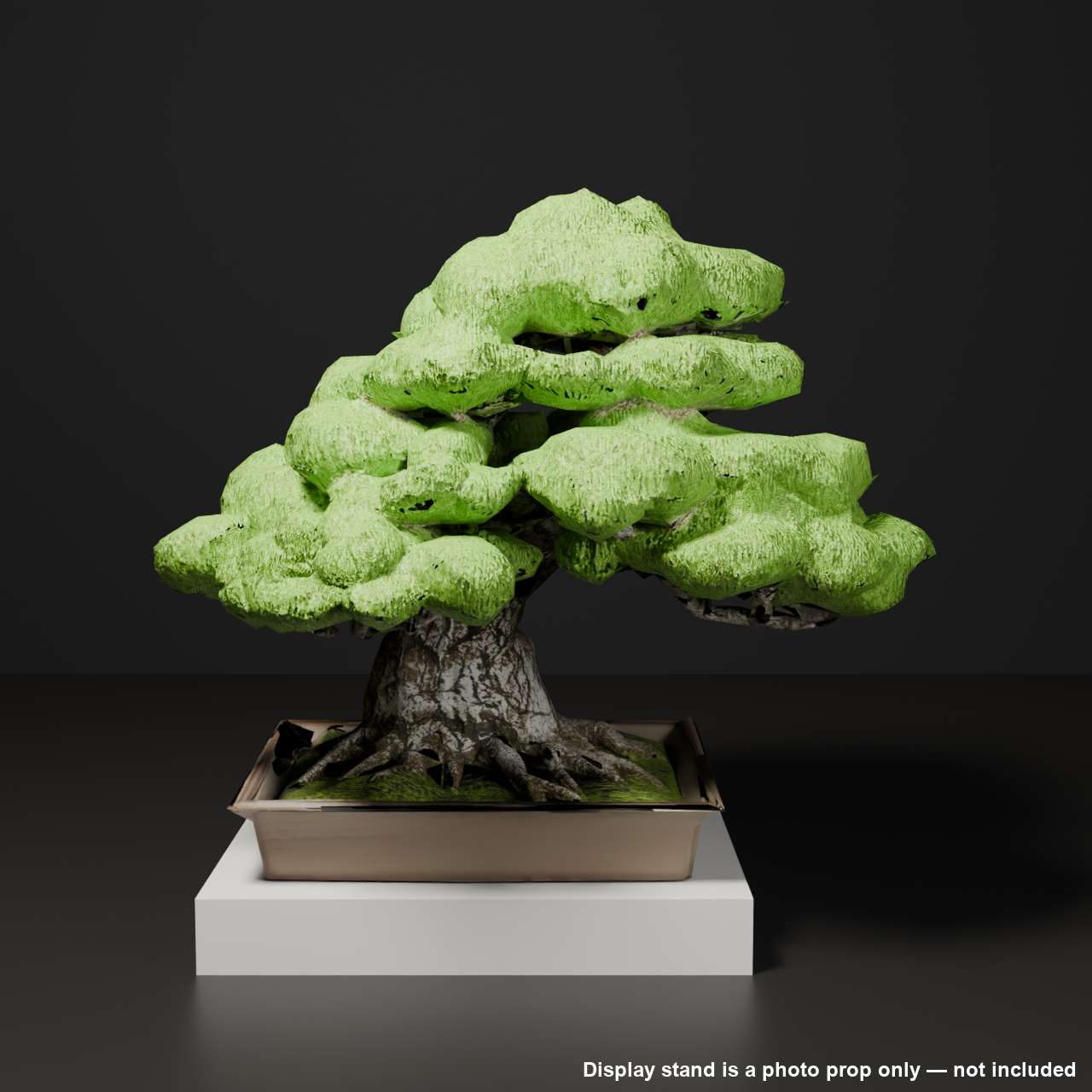 Japanese Bonsai - Black Pine in Curved-Trunk (Moyogi) Style | VRChat World Prop