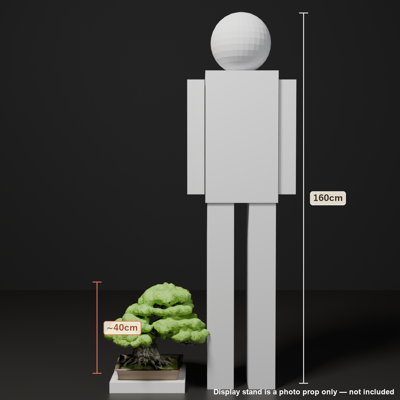 Japanese Bonsai - Black Pine in Curved-Trunk (Moyogi) Style | VRChat World Prop