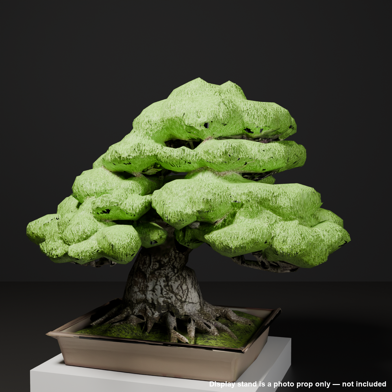 Japanese Bonsai - Black Pine in Curved-Trunk (Moyogi) Style | VRChat World Prop